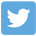 Twitter Icon And Link